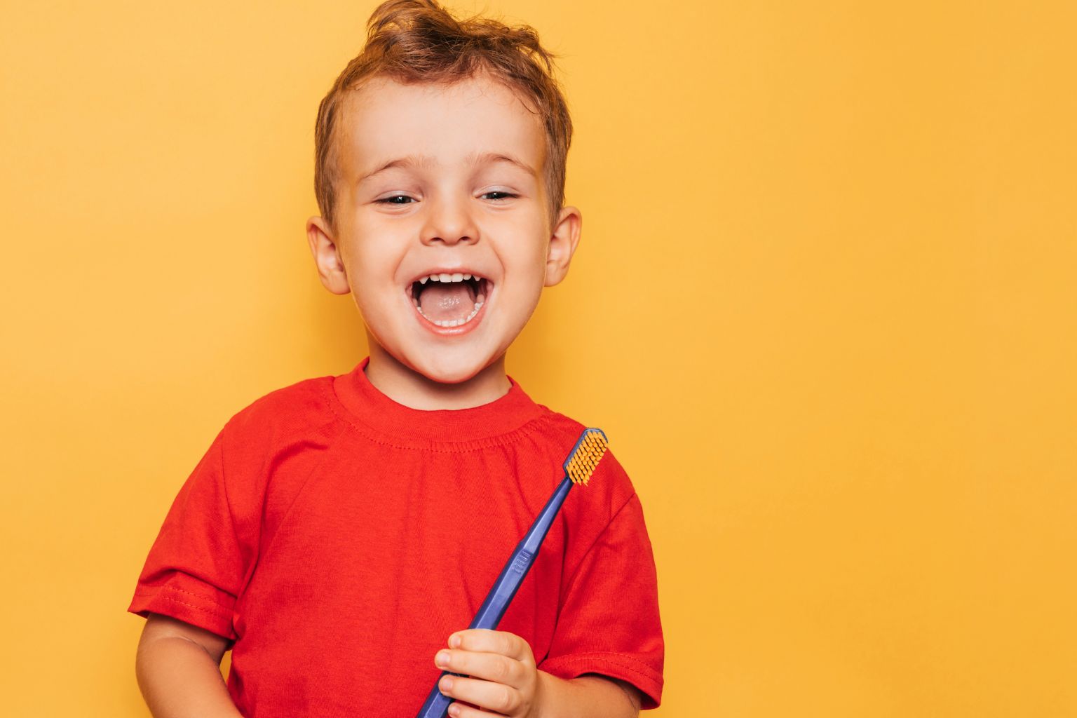 brush from the beginning